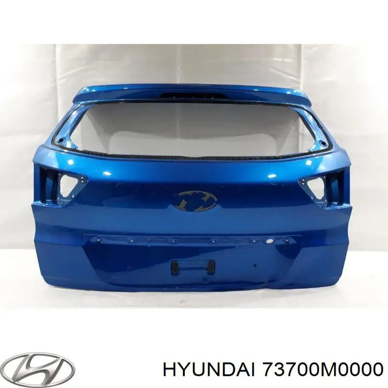  73700M0000 Hyundai/Kia