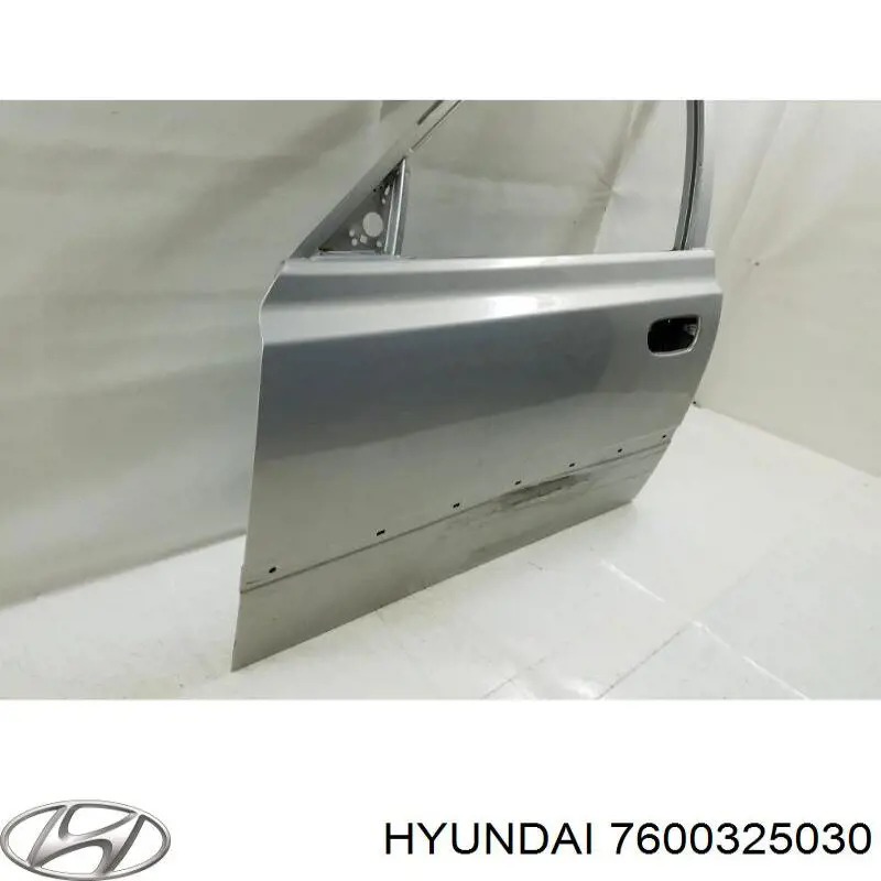 Передняя левая дверь Hyundai/Kia 7600325030 цена, от 42.80 USD