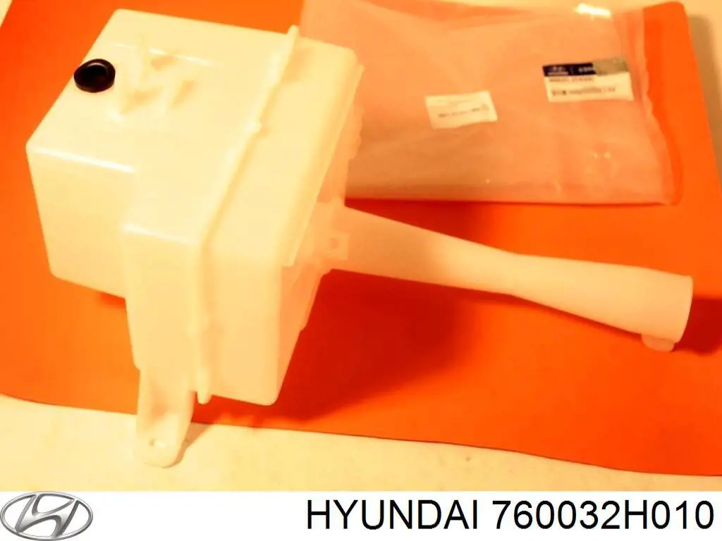 760032H010 Hyundai/Kia Водительская дверь