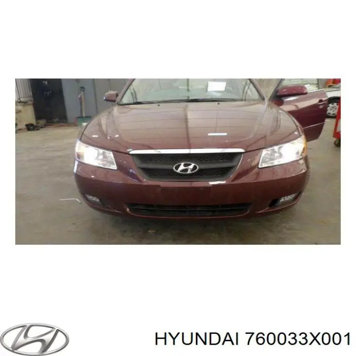760033X001 Hyundai/Kia дверь передняя левая
