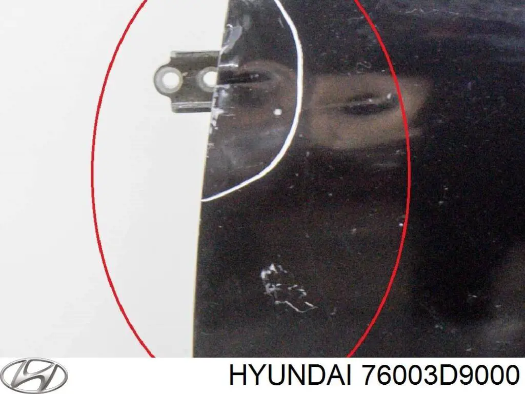 Передняя левая дверь Hyundai/Kia 76003D9000 цена, от 397.18 USD
