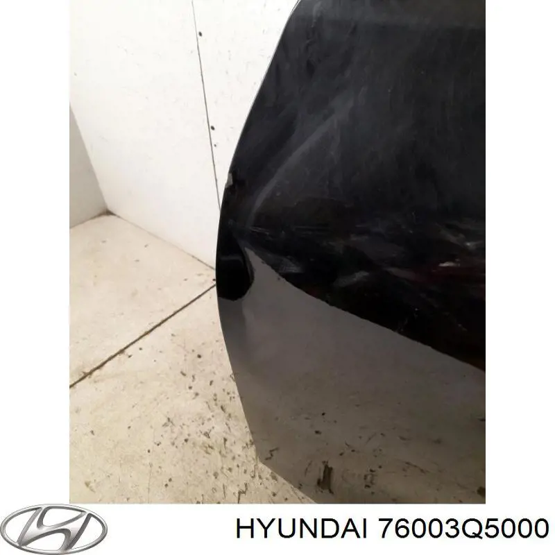 Передняя левая дверь Hyundai/Kia 76003Q5000 цена, от  USD