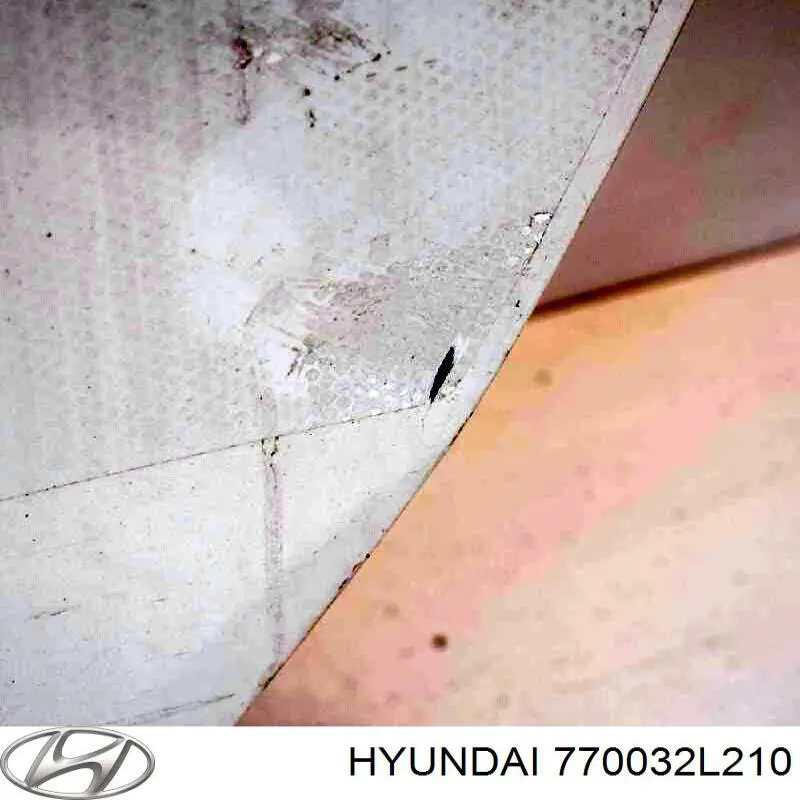 Купить 770032L210 Hyundai/Kia Дверь задняя