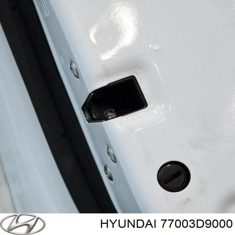 Купить 77003D9000 Hyundai/Kia Дверь задняя