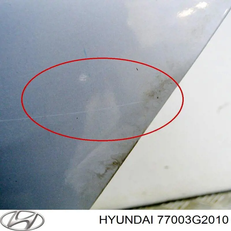 Задняя левая дверь Hyundai/Kia 77003G2010