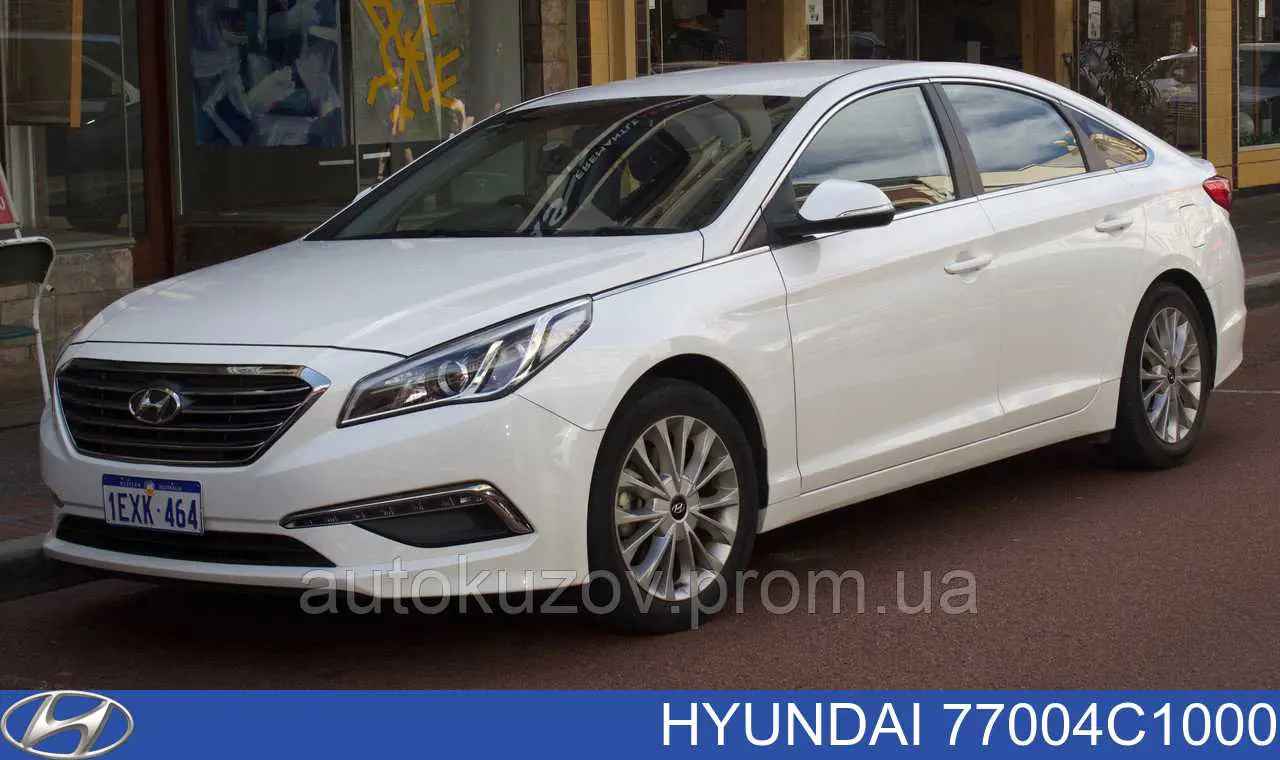 Дверь пассажирская задняя правая Hyundai/Kia 77004C1000 цена, от 225.73 USD