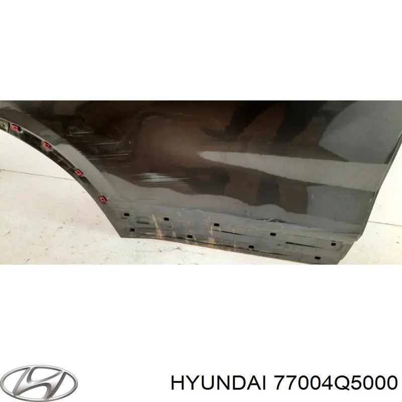77004Q5000 Hyundai/Kia Дверь задняя, правая