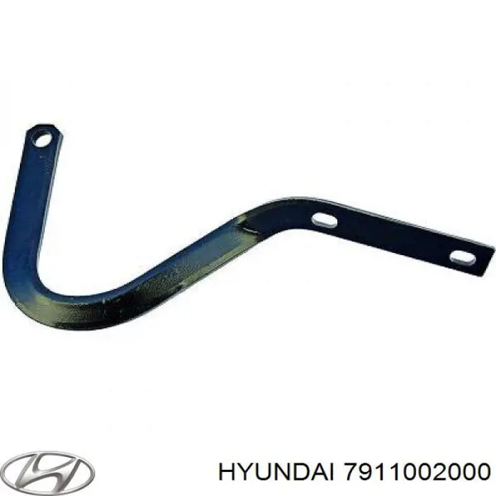 Gozno da capota esquerdo para Hyundai Atos (MX)