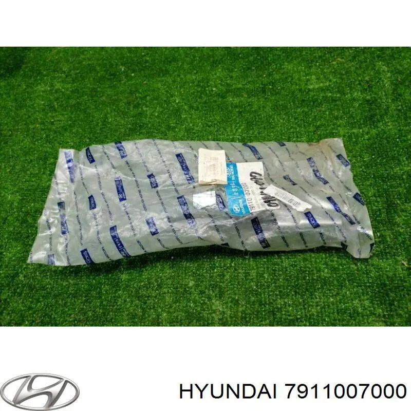 Петля капота, левая Hyundai/Kia 7911007000 цена, от 51.25 USD