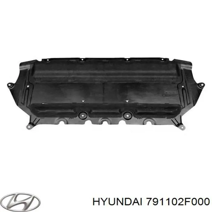 791102F000 Hyundai/Kia gozno da capota esquerdo