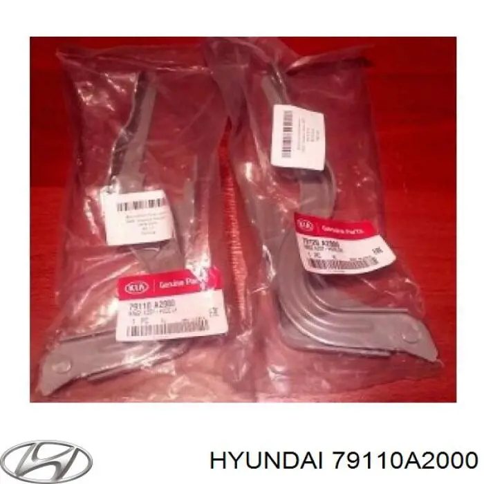 Купить 79110A2000 Hyundai/Kia Завеса капота левая
