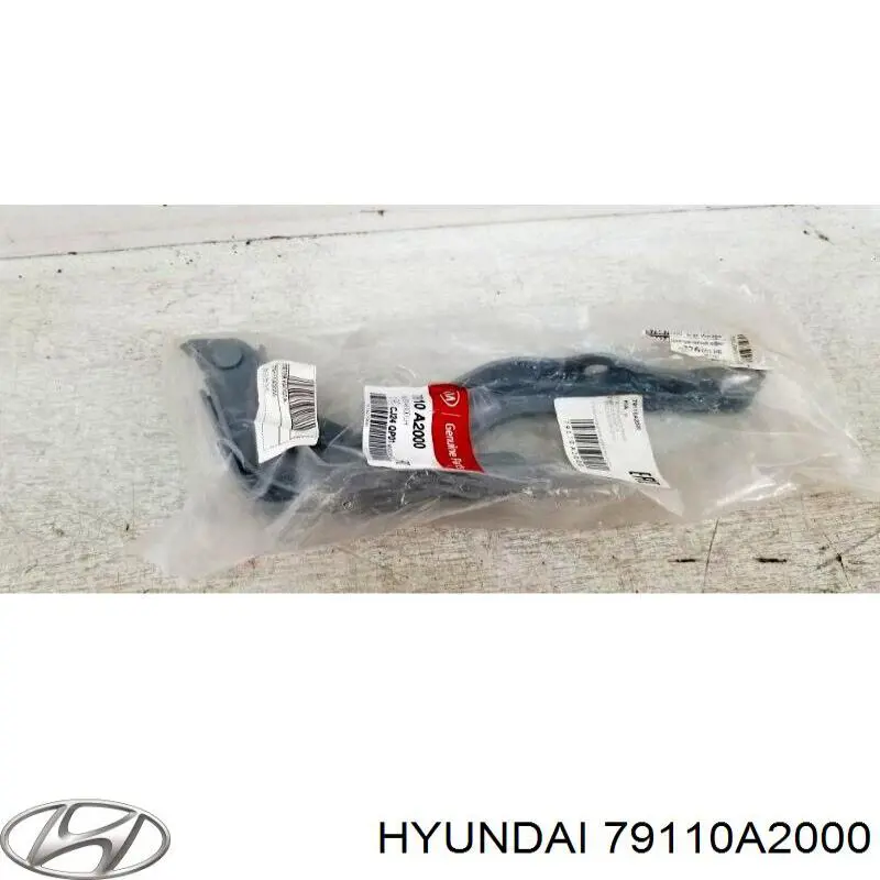 79110A2000 Hyundai/Kia gozno da capota esquerdo