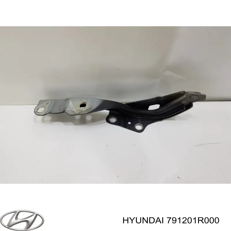 Петля капота, правая Hyundai/Kia 791201R000 цена, от 24.01 USD
