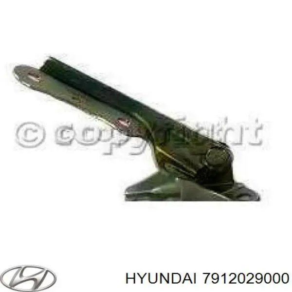 Купить 7912029000 Hyundai/Kia Завеса капота правая