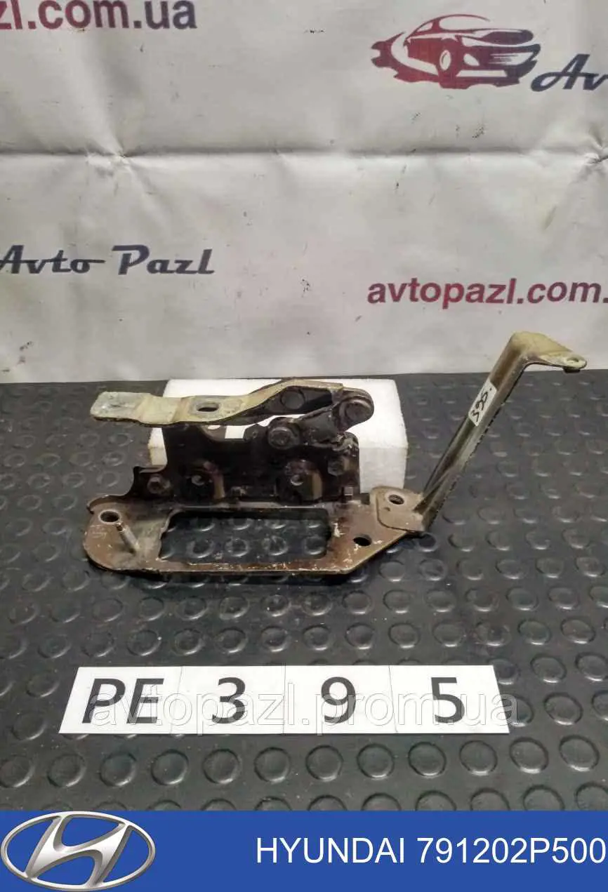 791202P500 Hyundai/Kia gozno da capota direito