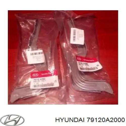 Петля капота, правая Hyundai/Kia 79120A2000 цена, от 27.43 USD