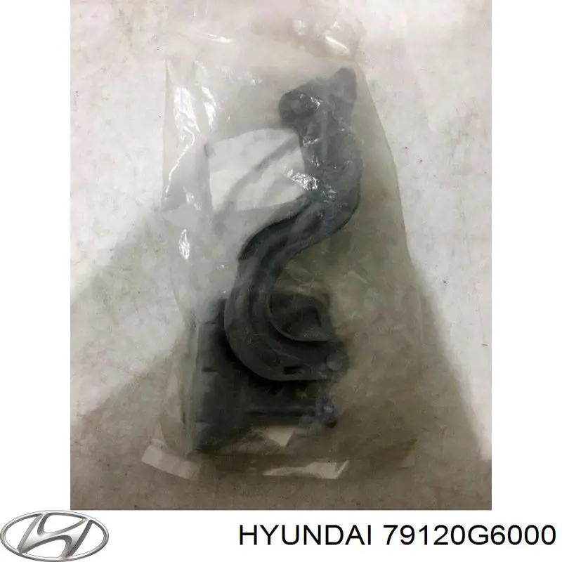 Петля капота, правая Hyundai/Kia 79120G6000 цена, от 35.20 USD