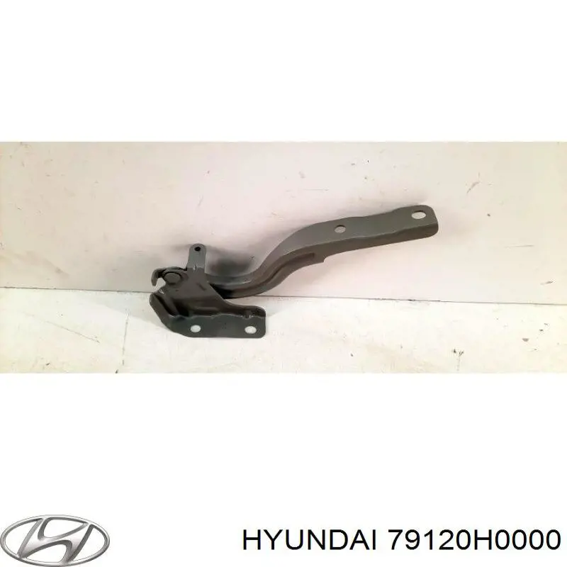 Петля капота, правая Hyundai/Kia 79120H0000 цена, от 39.29 USD