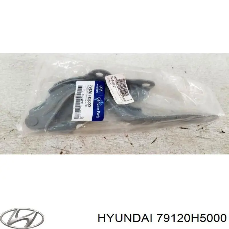 Петля капота, правая Hyundai/Kia 79120H5000 цена, от 11.30 USD