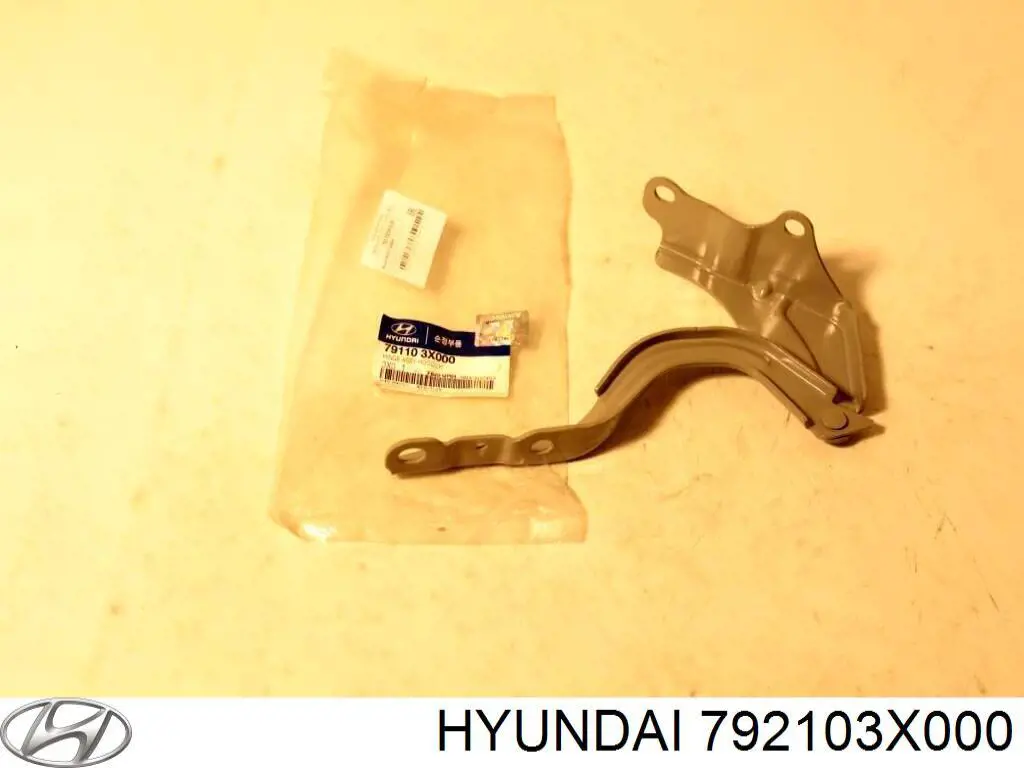 792103X000 Hyundai/Kia gozno de tampa de porta-malas