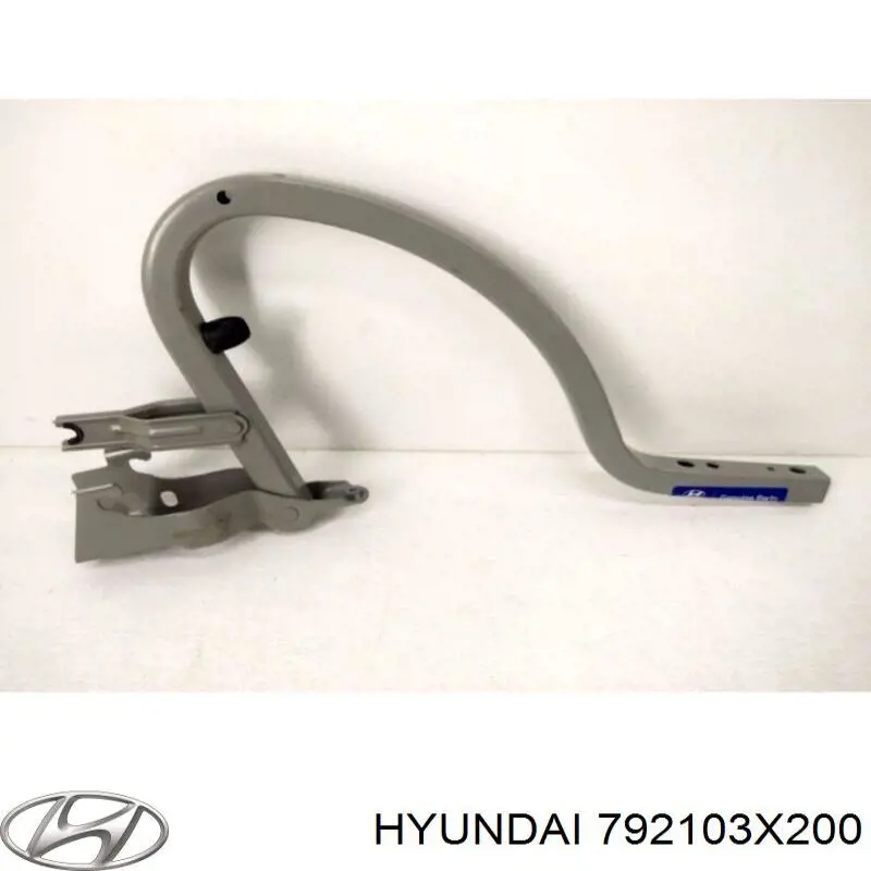 Шарнир крышки багажника Hyundai/Kia 792103X200 цена, от 19.65 USD