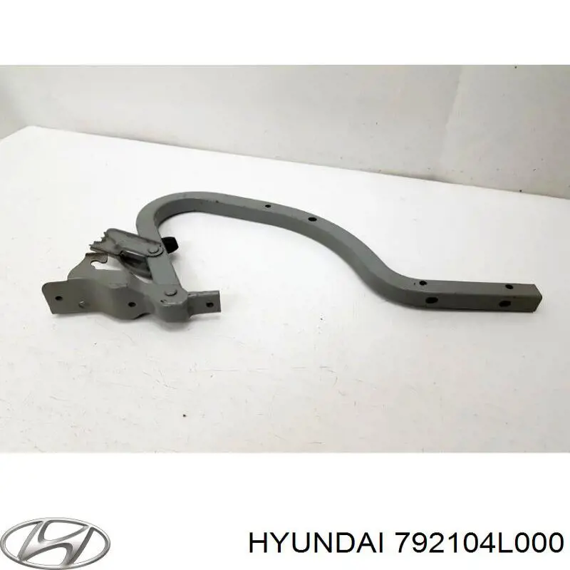 792104L000 Hyundai/Kia петля крышки багажника