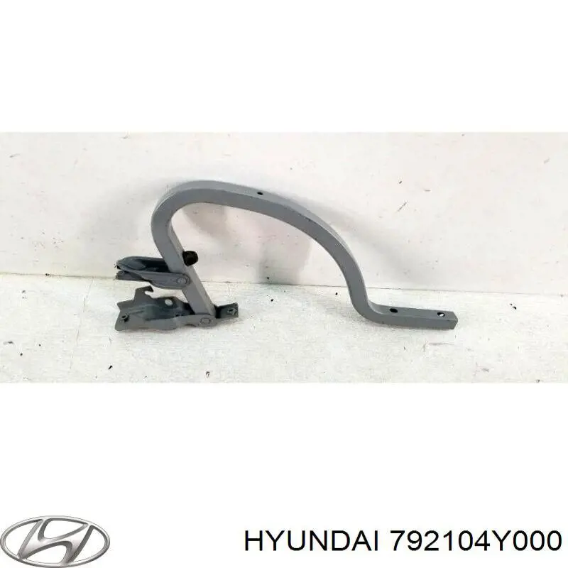 Шарнир крышки багажника Hyundai/Kia 792104Y000 цена, от 59.41 USD