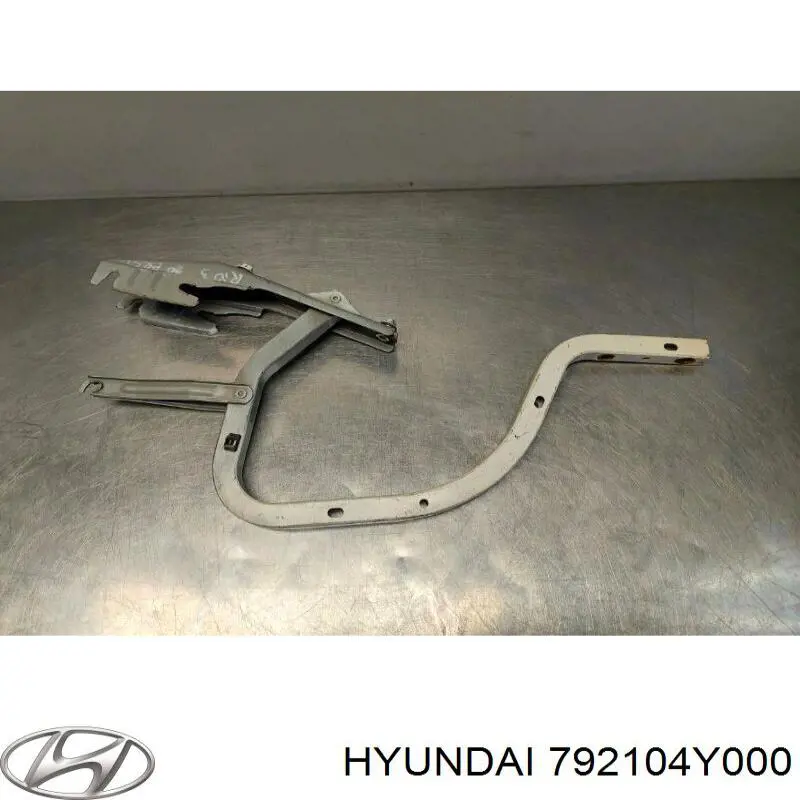 Петля крышки багажника 792104Y000 Hyundai/Kia