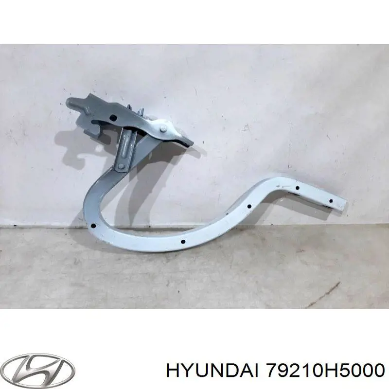 79210H5000 Hyundai/Kia Петля крышки багажника