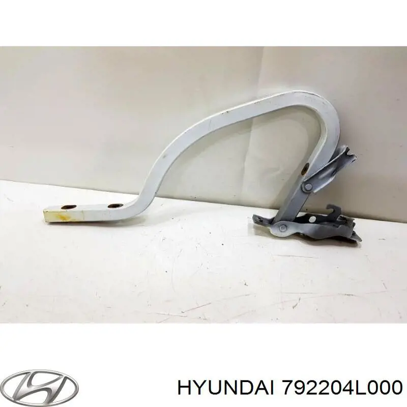 792204L000 Hyundai/Kia gozno de tampa de porta-malas