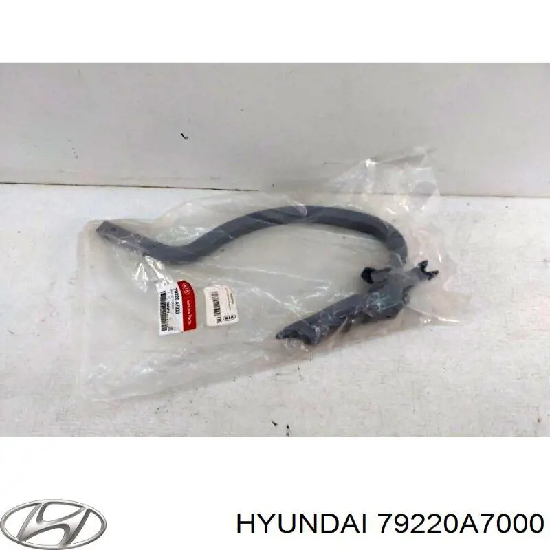 79220A7000 Hyundai/Kia Петля крышки багажника
