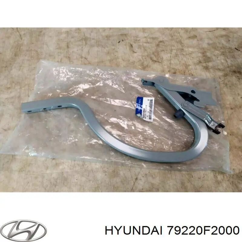 79220F2000 Hyundai/Kia петля крышки багажника