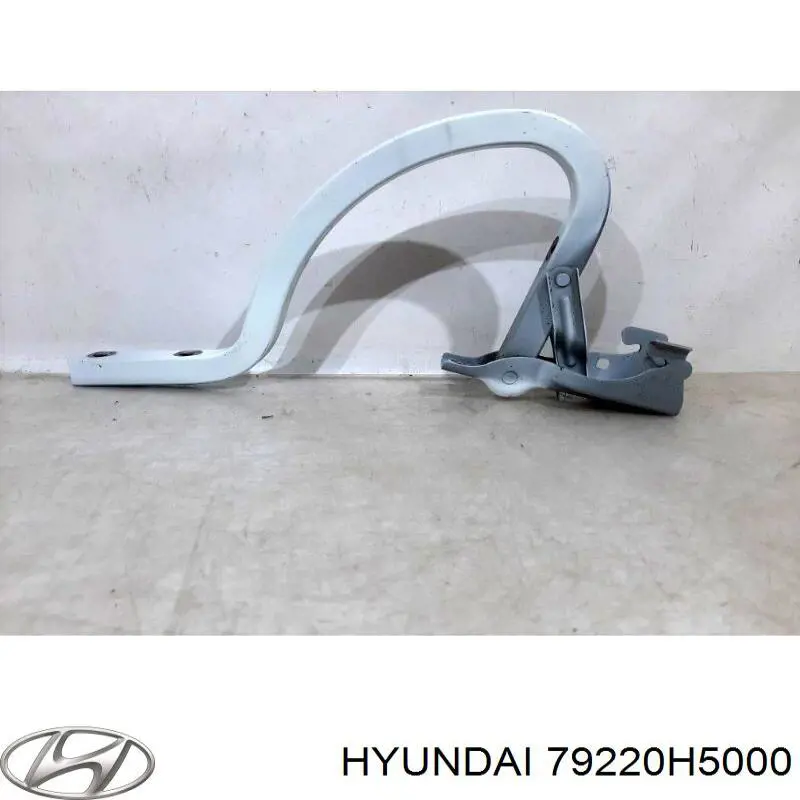 Купить 79220H5000 Hyundai/Kia Завеса крышки багажника