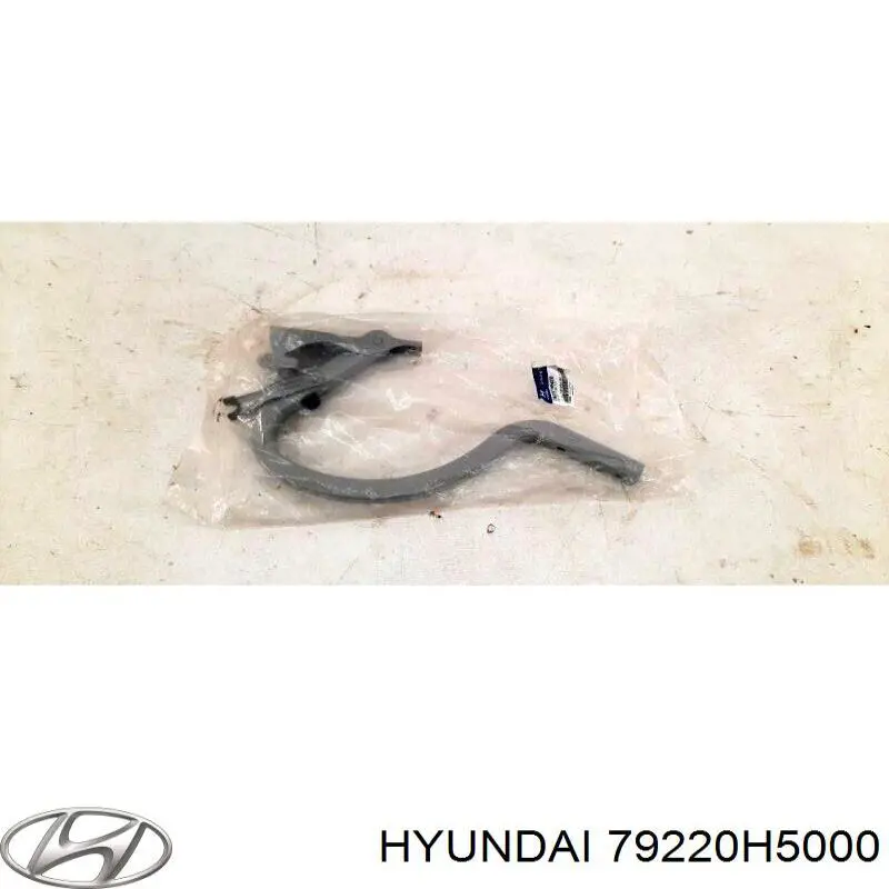 79220H5000 Hyundai/Kia Петля крышки багажника