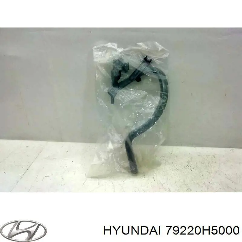 Шарнир крышки багажника Hyundai/Kia 79220H5000 цена, от 24.01 USD