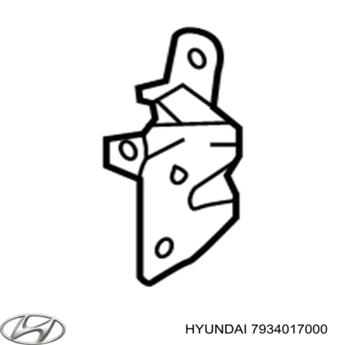 7934017000 Hyundai/Kia gozno da porta traseira direita