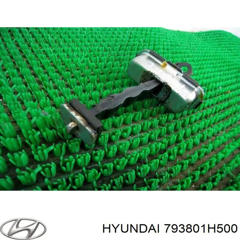 793801H502 Hyundai/Kia limitador dianteiro esquerdo de abertura de porta