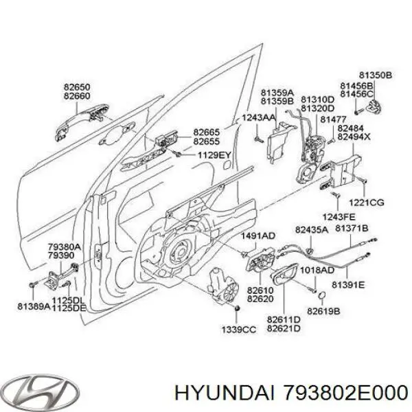 793802E000 Hyundai/Kia ограничитель открывания двери передний левый
