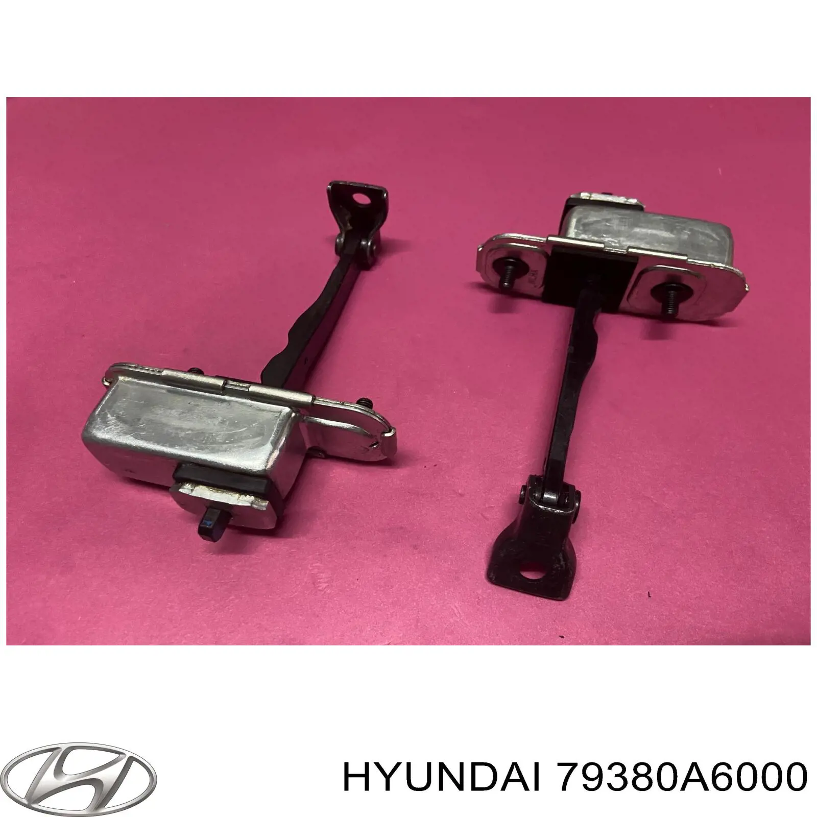 Ограничитель открывания двери передний левый Hyundai/Kia 79380A6000 цена, от 6.33 USD