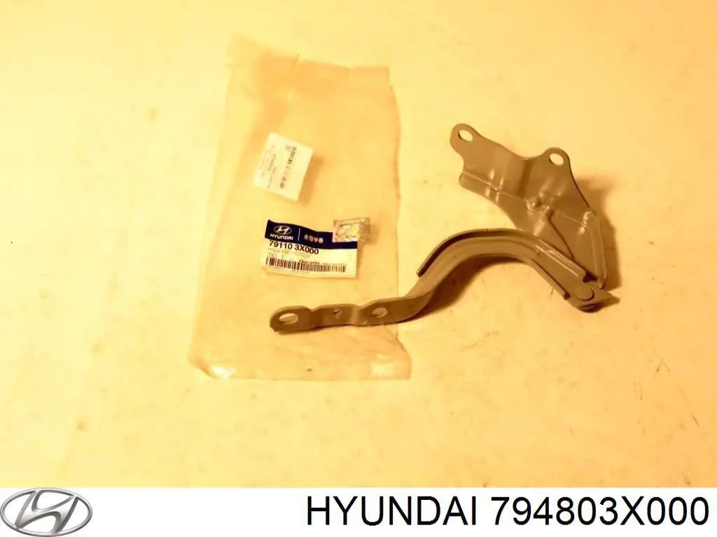 794803X000 Hyundai/Kia ограничитель открывания двери задний левый