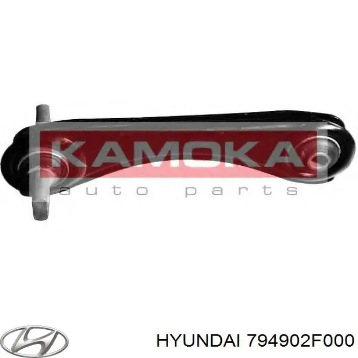 Купить 794902F000 Hyundai/Kia Ограничитель открывания двери задний правый