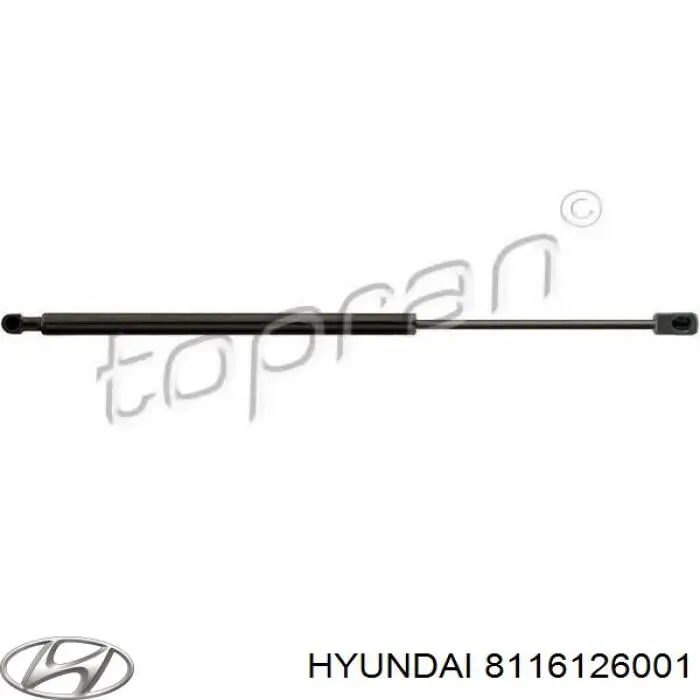 Купить 8116126001 Hyundai/Kia Амортизатор под капот