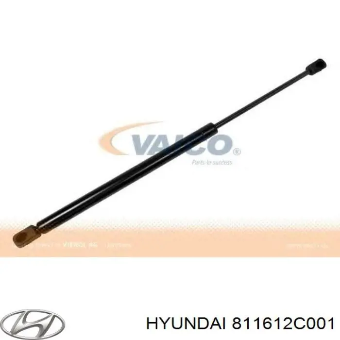 811612C001 Hyundai/Kia