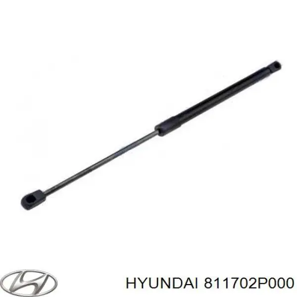 811702P000 Hyundai/Kia