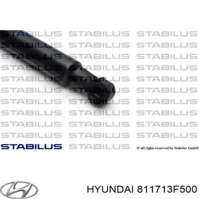 811713F500 Hyundai/Kia 