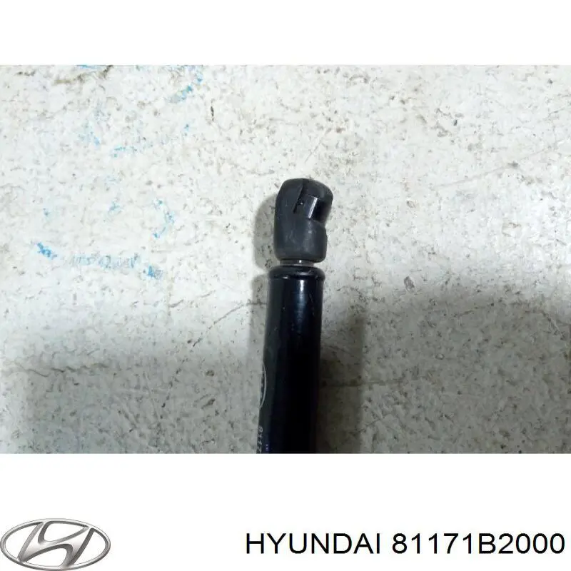 Амортизатор капота газовый Hyundai/Kia 81171B2000 цена, от 12.70 USD