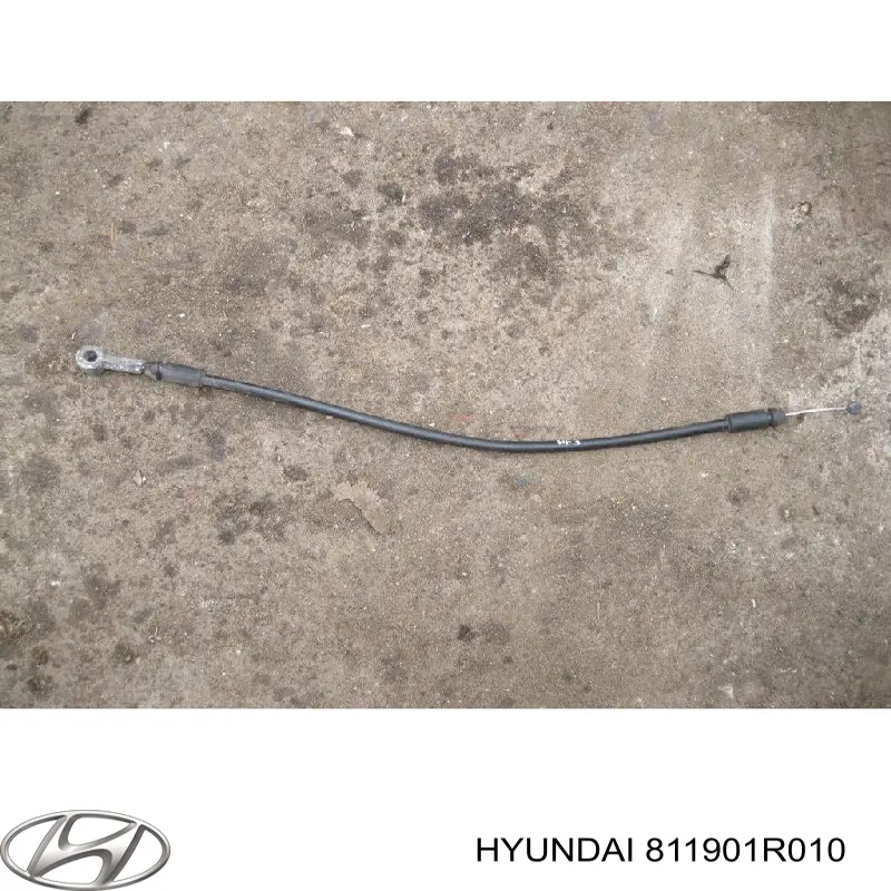 811901R010 Hyundai/Kia