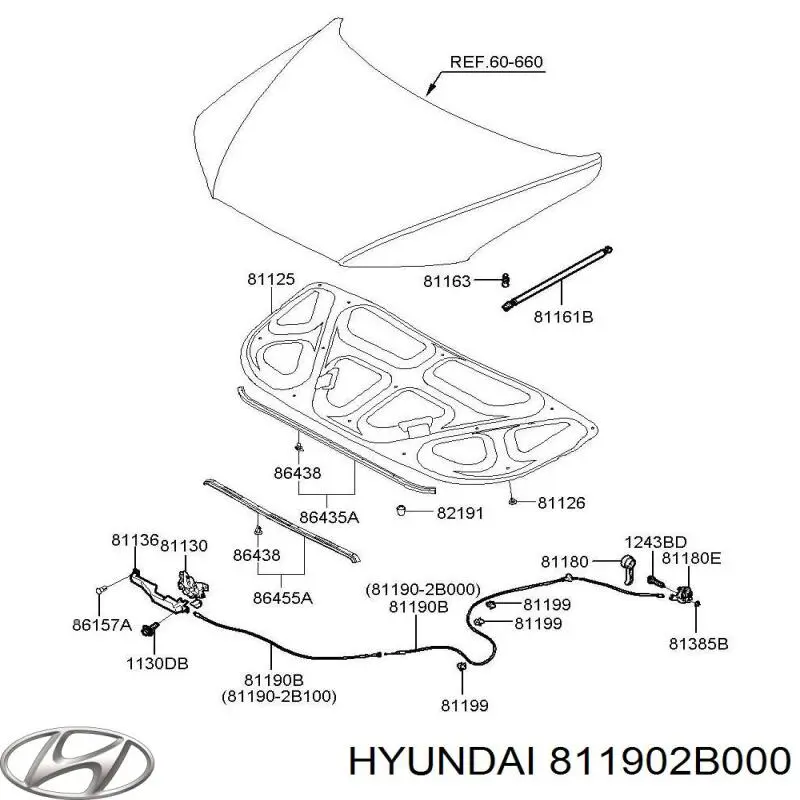 811902B000 Hyundai/Kia cabo de abertura da capota