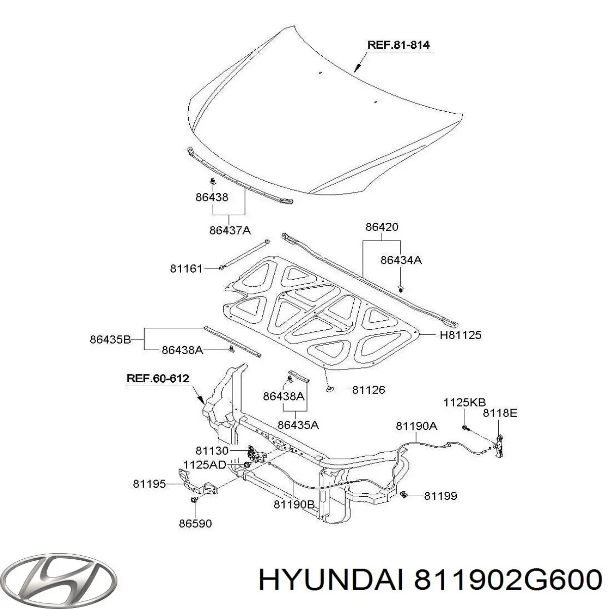 811902G600 Hyundai/Kia 