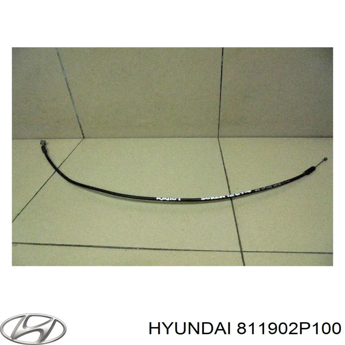 811902P100 Hyundai/Kia 